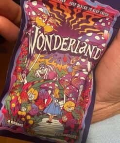 Wonderland Mushroom Gummies 500mg