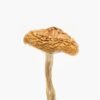 British Columbia Mushroom